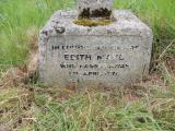 image of grave number 724509